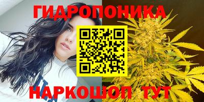a pvp Ипатово