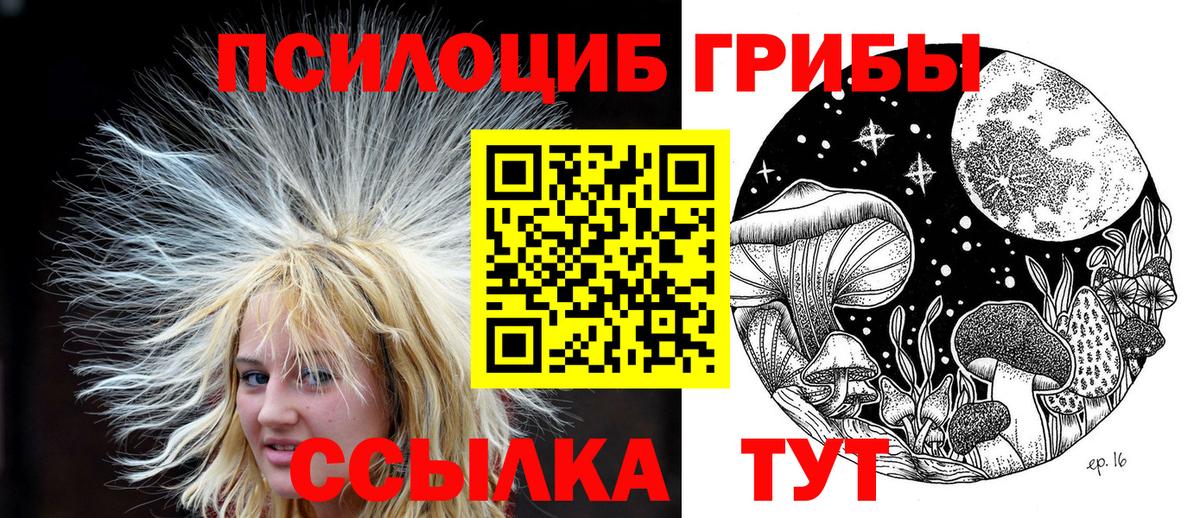 Галлюциногенные грибы GOLDEN TEACHER  даркнет сайт  Вход с VPN  Люберцы  Псилоцибиновые грибы ЛСД 